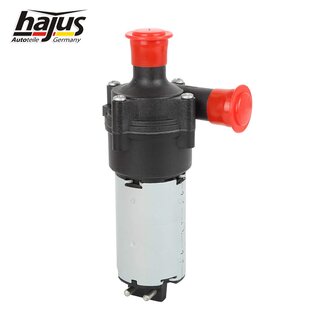 Zusatzwasserpumpe (K�hlwasserkreislauf)