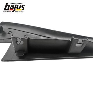 Zier-/Schutzleistensatz