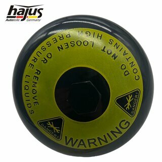 Druckspeicher, Bremsanlage