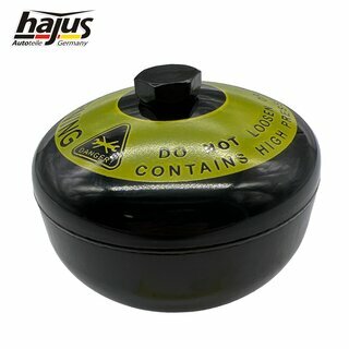 Druckspeicher, Bremsanlage