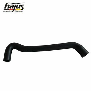 Schlauch, Kurbelgehuseentlftung