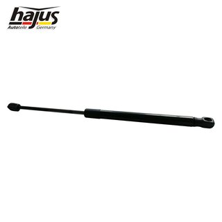 Gasfeder, Koffer-/Laderaum