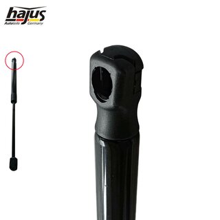 Gasfeder, Koffer-/Laderaum