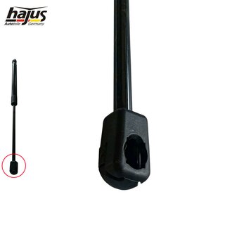 Gasfeder, Koffer-/Laderaum