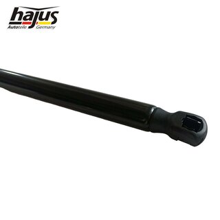 Gasfeder, Koffer-/Laderaum