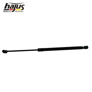 Gasfeder, Koffer-/Laderaum