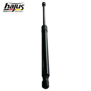 Gasfeder, Koffer-/Laderaum