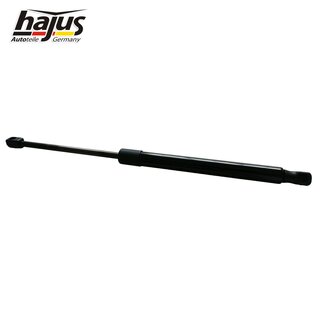 Gasfeder, Koffer-/Laderaum