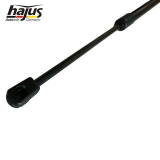 Gasfeder, Koffer-/Laderaum