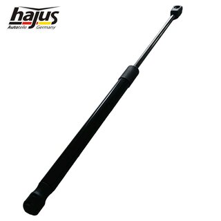 Gasfeder, Koffer-/Laderaum