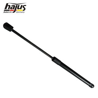 Gasfeder, Koffer-/Laderaum