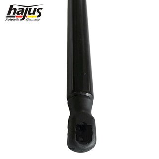 Gasfeder, Koffer-/Laderaum