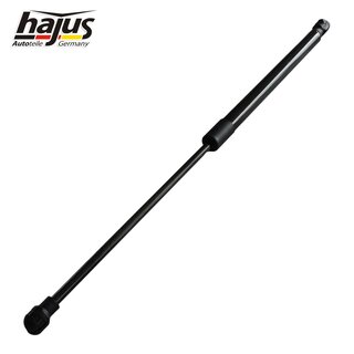 Gasfeder, Koffer-/Laderaum