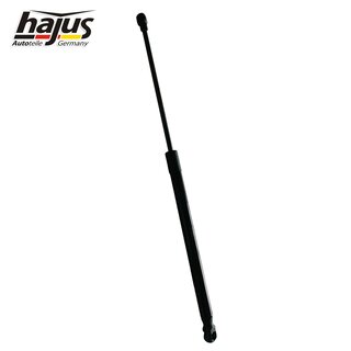 Gasfeder, Koffer-/Laderaum