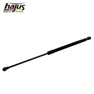 Gasfeder, Koffer-/Laderaum