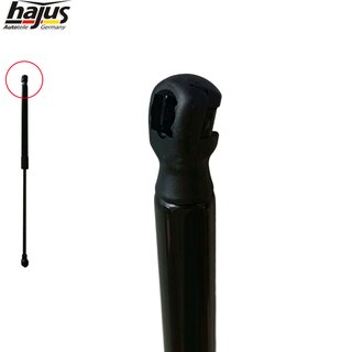 Gasfeder, Koffer-/Laderaum