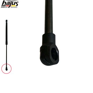 Gasfeder, Koffer-/Laderaum