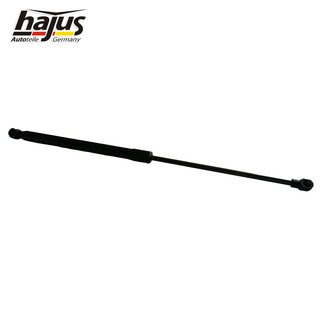 Gasfeder, Koffer-/Laderaum