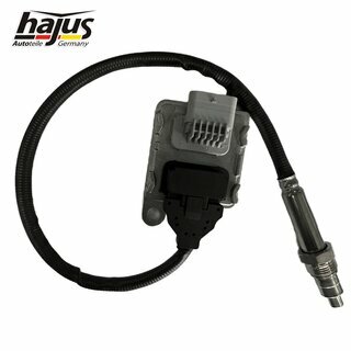 NOx-Sensor, NOx-Katalysator