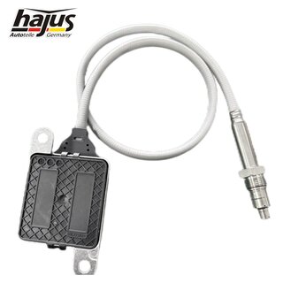 NOx-Sensor, NOx-Katalysator