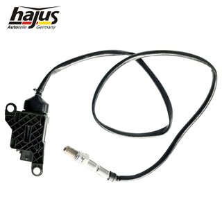 NOx-Sensor, NOx-Katalysator