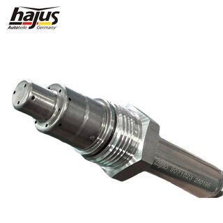 NOx-Sensor, NOx-Katalysator