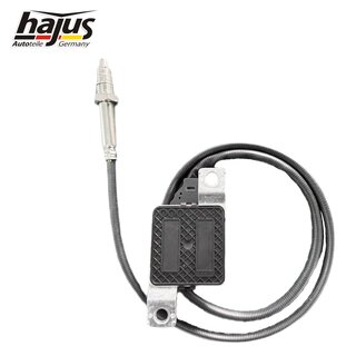 NOx-Sensor, NOx-Katalysator