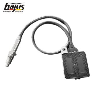 NOx-Sensor, NOx-Katalysator