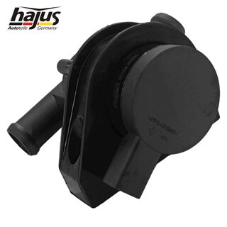 Zusatzwasserpumpe (Khlwasserkreislauf)