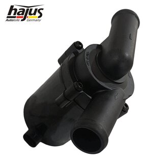 Wasserumwlzpumpe, Standheizung