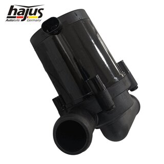 Wasserumwlzpumpe, Standheizung