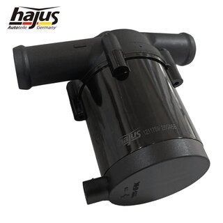 Wasserumwlzpumpe, Standheizung