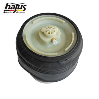 Federbalg, Luftfederbein