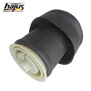 Federbalg, Luftfederbein