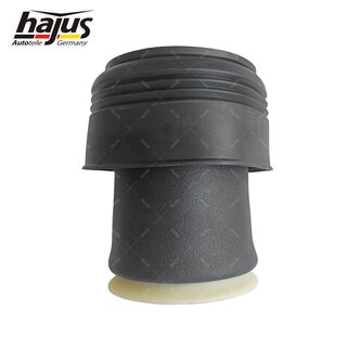 Federbalg, Luftfederbein