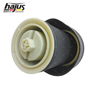 Federbalg, Luftfederbein