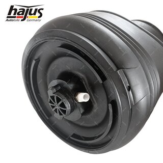 Federbalg, Luftfederbein