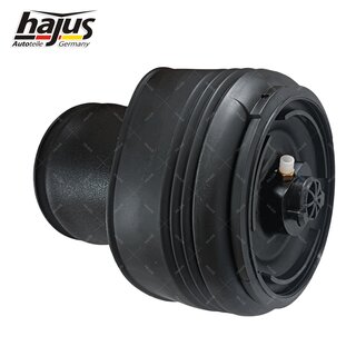 Federbalg, Luftfederbein