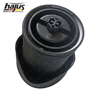 Federbalg, Luftfederbein