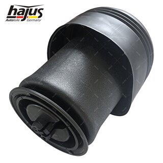 Federbalg, Luftfederbein