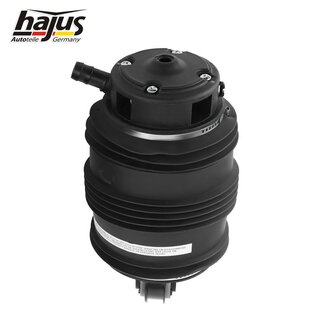 Federbalg, Luftfederbein