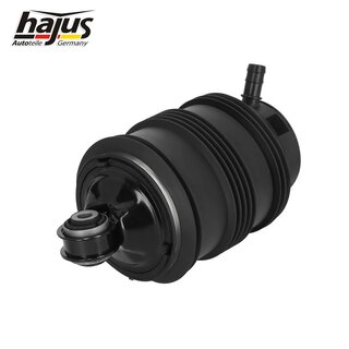 Federbalg, Luftfederbein