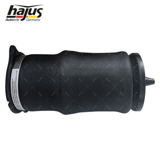 Federbalg, Luftfederbein