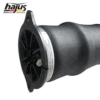 Federbalg, Luftfederbein