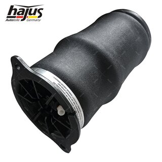 Federbalg, Luftfederbein