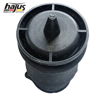 Federbalg, Luftfederbein