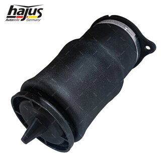 Federbalg, Luftfederbein