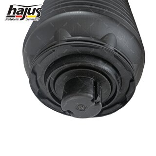 Federbalg, Luftfederbein