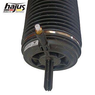 Federbalg, Luftfederbein