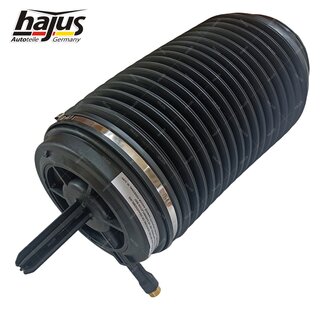 Federbalg, Luftfederbein